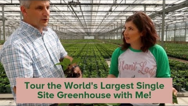 World's largest greenhouse tour